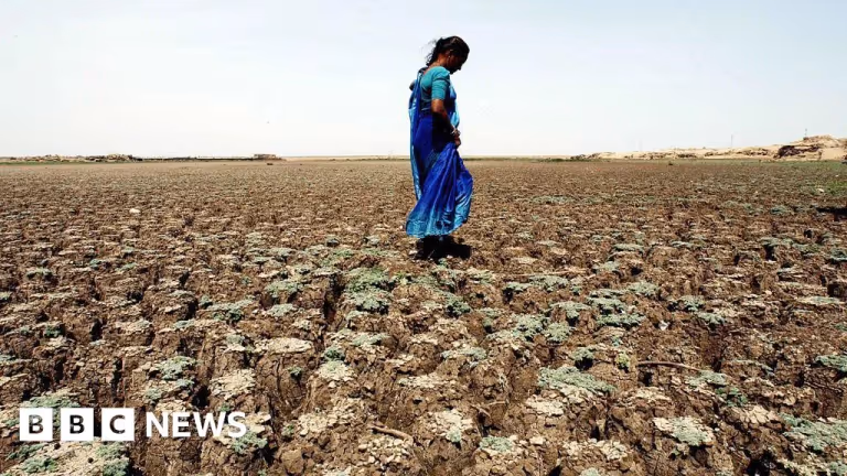 India Alami Juni Terkering dalam 12 Tahun, Petani Terancam Gagal Panen