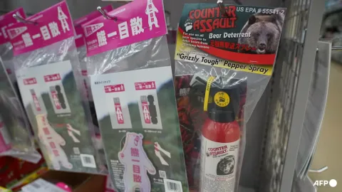 Semprotan Anti-Beruang Meledak di Kantor Pos Jepang, Lima Orang Dilarikan ke Rumah Sakit