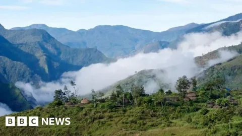Pilot AS Tewas Ditembak, Pesawat Dibakar: Eskalasi Konflik Papua Makin Memanas