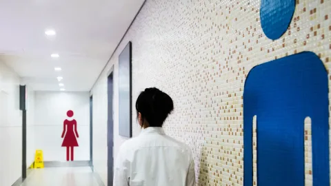 Parlemen Jepang Tambah Dua Toilet Wanita: Simbol Keterbelakangan Gender?