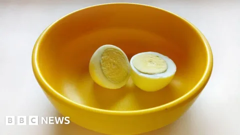 Kontroversi Telur di Menu Sekolah India: Antara Gizi dan Keyakinan