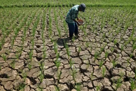 Krisis Air Meluas di Indonesia: Ribuan Rumah Tangga Terdampak Kekeringan Ekstrem