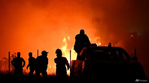 Eropa Terbakar: Kebakaran Hutan Melanda Empat Negara, Suhu Capai 40 Derajat