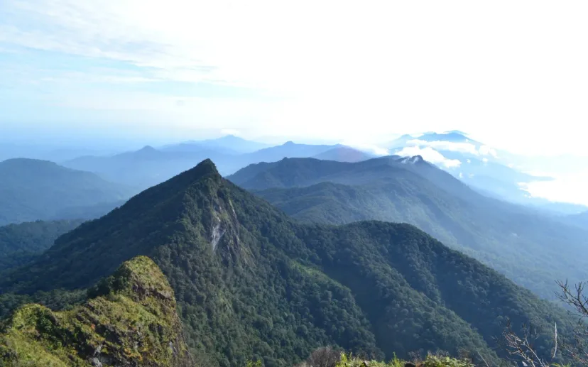 Sesar Meratus: Ancaman Gempa Magnitudo 7 yang Mengintai Kalimantan Selatan