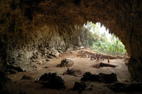 Studi Baru Bongkar Mitos Hobbit Flores: Pemulung Sisa Buruan Komodo, Bukan Pemburu Ulung