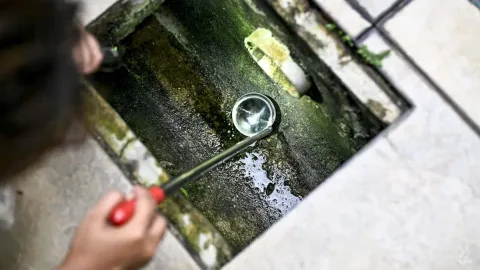 Waspada, Klaster DBD di Yio Chu Kang Meluas: 135 Kasus dan Zona Merah
