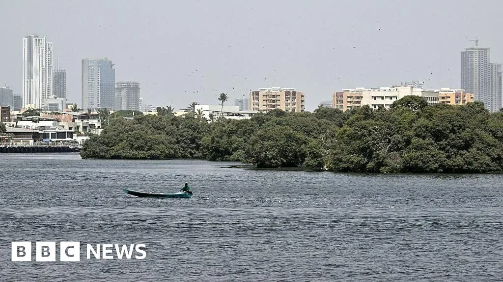 Pencarian Pesawat Kargo Hilang di Lepas Pantai Karachi: Lima Awak Dinyatakan Hilang