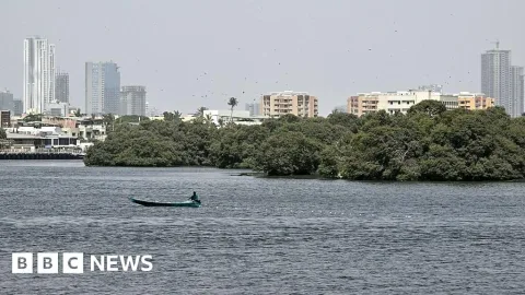 Pencarian Pesawat Kargo Hilang di Lepas Pantai Karachi: Lima Awak Dinyatakan Hilang