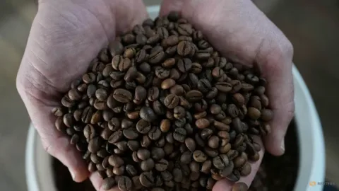 Tarif AS Ancam Harga Kopi Instan Brasil, Konsumen Amerika yang Terbebani