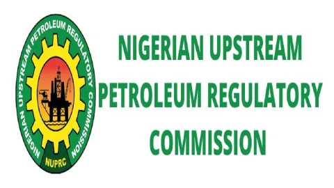 Nigeria Terbitkan 19 Izin Eksplorasi Migas, Target Investasi Hulu Menguat
