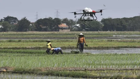 Mentan Amran Yakin Metode Tanam Modern Dongkrak Pendapatan Petani hingga Rp16 Juta per Bulan