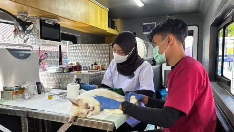 Jakarta Luncurkan Mobil Klinik Hewan Keliling, Tarif Mulai Rp35 Ribu