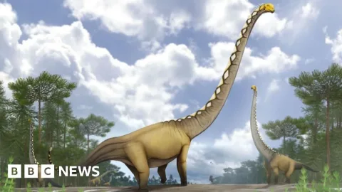 Dinosaurus Berleher Seperti Lapangan Kriket Ditemukan di Thailand, Pertama dari Jenisnya di Asia Tenggara
