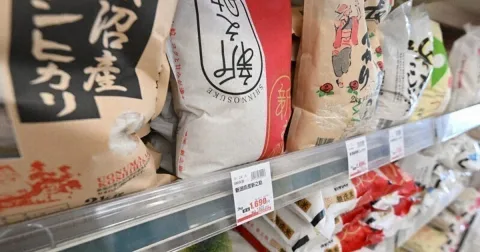 Harga Beras Jepang Anjlok ke Level Terendah Sejak Akhir 2024, Pasokan Melimpah