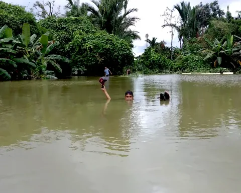 Hilangnya Hutan Siberut: Banjir, Kemiskinan, dan Konflik yang Tak Kunjung Usai
