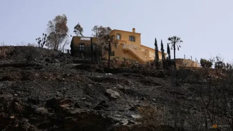 Kobaran Api di Andalusia Padam, 12 Tewas Terjebak di Kendaraan