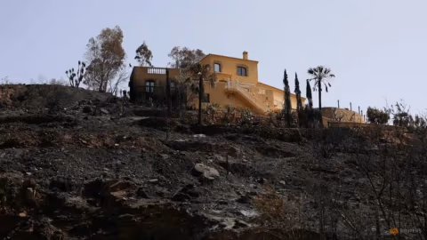 Kobaran Api di Andalusia Padam, 12 Tewas Terjebak di Kendaraan