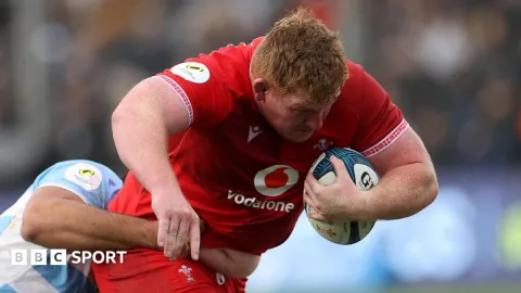 Wales Tersungkur di Kandang Argentina: Pukulan Realitas bagi Kebangkitan Singa Merah