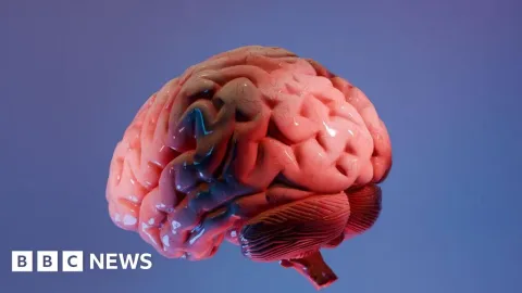 Ilmuwan India Ciptakan Atlas Otak 3D Paling Detail, Buka Jalan Baru Riset Neurologi