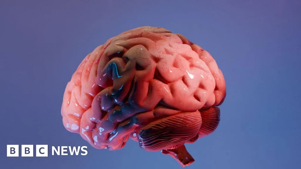 Ilmuwan India Ciptakan Atlas Otak 3D Paling Detail, Buka Jalan Baru Riset Neurologi