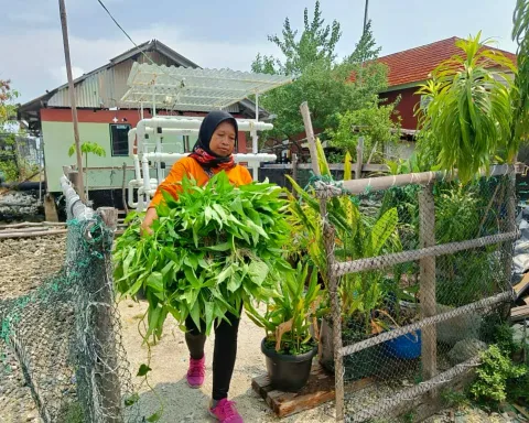 Perempuan Pulau Kelapa Melawan Ketergantungan Pangan: Hidroponik di Tengah Keterbatasan