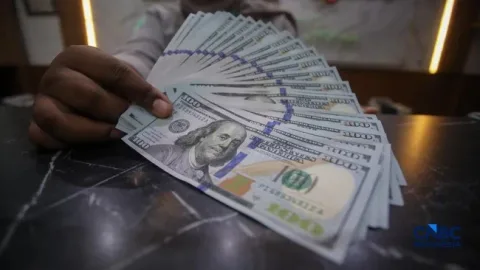 Rekening Dolar Melonjak 58%: DHE SDA dan Pelemahan Rupiah Jadi Pemicu