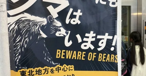 Pemprov Tokyo Perketat Aturan Taman Nasional: Wajib Bawa Alat Pengusir Beruang