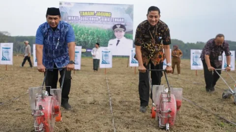 Santri Gayeng Nusantara Sulap 57 Hektare Lahan Tidur Jadi Lumbung Pangan di Banjarnegara