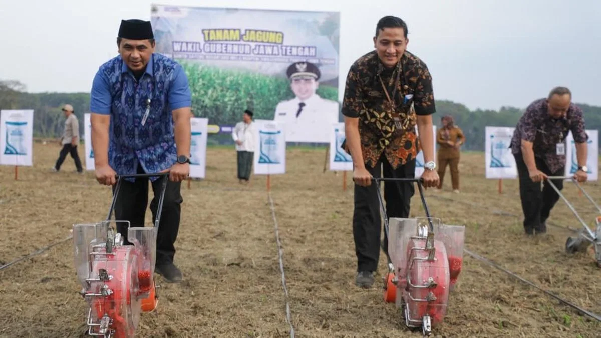 Santri Gayeng Nusantara Sulap 57 Hektare Lahan Tidur Jadi Lumbung Pangan di Banjarnegara
