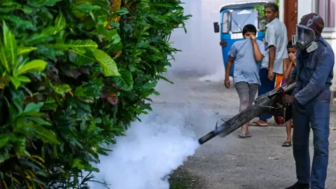 Sri Lanka Gandeng Militer Perangi Demam Berdarah: 49 Tewas, Kasus Melonjak