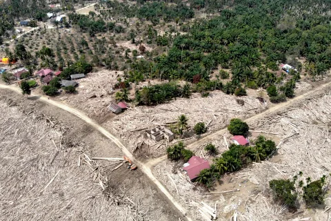 Pemulihan Kebun Kopi Aceh Terhambat Infrastruktur Rusak, Produksi Nasional Terancam