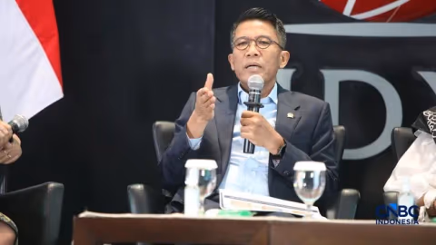 PFII Akan Dipimpin Gubernur yang Ditunjuk Langsung Presiden, Ini Skema Pengawasannya