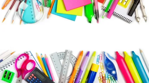 Hanya Satu Murid Baru di SDN 2 Salakaria: Kampung KB dan Tantangan Demografi Pendidikan