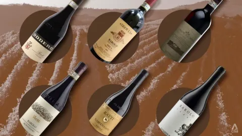Menyusuri 300 Gelas Nebbiolo: Enam Produsen Terbaik dari Barolo, Barbaresco, dan Roero