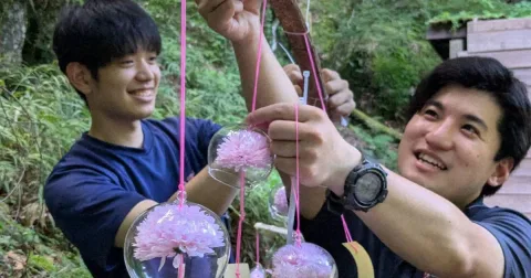 2.000 Lonceng Angin Hiasi Jalur Ngarai Akame, Ciptakan Oase Sejuk di Tengah Gelombang Panas Jepang