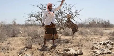 Badai Sempurna Mengancam Tanduk Afrika: Konflik, Iklim, dan Krisis Kemanusiaan