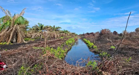 Penegakan Hukum Karhutla di Riau: Perusahaan Besar Lolos, Petani Kecil Jadi Tersangka