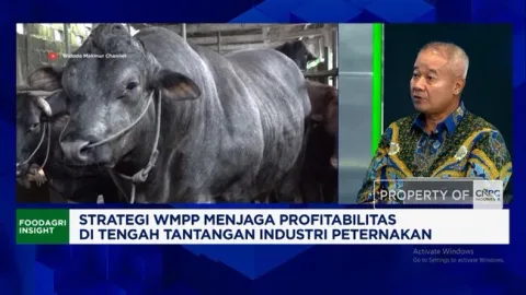 Efisiensi Radikal dan Inovasi: WMPP Balikkan Rugi Rp71,85 Miliar Jadi Laba Rp130 Miliar