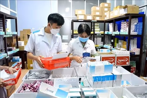 Pasar Farmasi Vietnam Tembus US$10 Miliar, Investor Asing Berebut Akuisisi