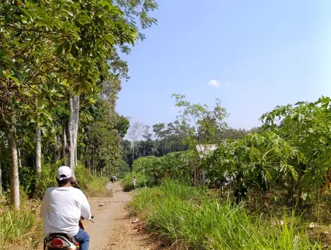 Petani Jember Lawan Rencana Batalyon: 220 Keluarga Terancam Kehilangan Lahan Produktif