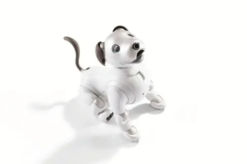 Sony Pinjamkan Robot Anjing Aibo ke Dua Universitas untuk Riset AI Fisik