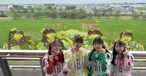 Lukisan Sawah di Jepang Tampilkan Idol Lokal, Begini Wujudnya
