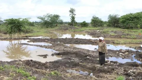 Pusat Kelaparan Global Bergeser ke Afrika: 309 Juta Jiwa Terancam
