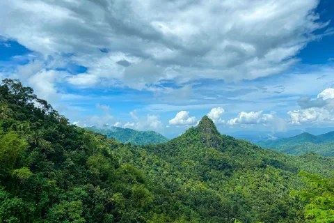 Warga Perbukitan Menoreh Bersatu Pulihkan Habitat Burung yang Terancam