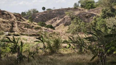 Bukit Teletubbies Semarang Terbakar, Diduga Akibat Cuaca Ekstrem