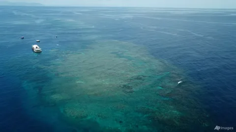 El Nino Ancam Great Barrier Reef: Risiko Keruntuhan Ekosistem Makin Nyata