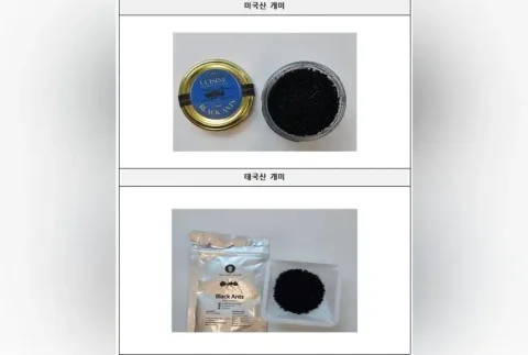 Semut Hitam di Sorbet: Pemilik Restoran Michelin-Star Korea Terancam Bui