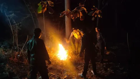 Kebakaran Hutan di Ponorogo Hanguskan 2,3 Hektare, Diduga Ulah Manusia