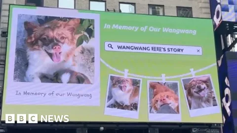 Kekejaman pada Anjing Wang Wang: Sensor Tak Mampu Redam Gelombang Protes Pecinta Hewan China