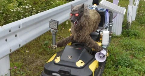 Robot Serigala Monster Wolf Mulai Berpatroli di Bandara Kushiro, Jepang